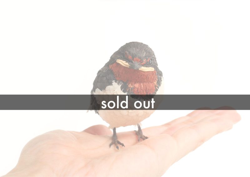 SOLD_OUT_商品