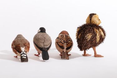 きんかちょう、さくらぶんちょう、すずめのひな、かるがものひな【錦華鳥、桜文鳥、雀の雛、カルガモの雛】 木工作家鷲野愛未の作品「左から錦華鳥、桜文鳥、スズメの雛、カルガモの雛」の後ろ姿