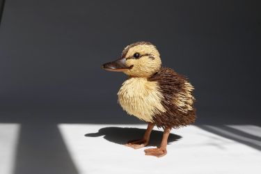 かるがものひな【カルガモの雛】 木工作家鷲野愛未の作品「カルガモの雛」