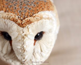 よせぎさざいくのめんふくろう【寄木細工のメンフクロウ】 寄木細工のメンフクロウ