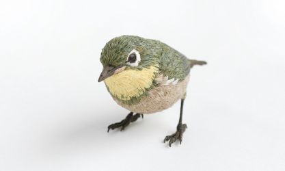 メジロ【目白】 木工作家鷲野愛未の作品「メジロ」