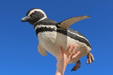 まぜらんぺんぎん【マゼランペンギン】 木工作家鷲野愛未の作品「マゼランペンギン」