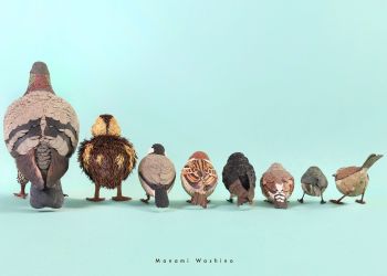 さくひんしゅう【作品集】 作品集