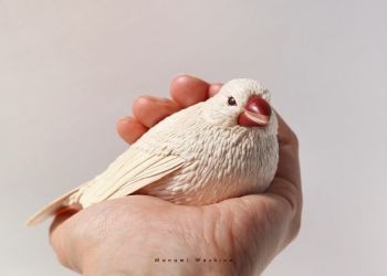 はくぶんちょう【白文鳥】 木工作家鷲野愛未の作品「白文鳥」